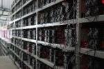 Mining farm facility in India showcasing rows of Bitcoin mining rigs